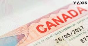 A Step-by-Step Guide to Applying for a Canada Visa as a Belgian Citizen.