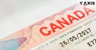 A Step-by-Step Guide to Applying for a Canada Visa as a Belgian Citizen.